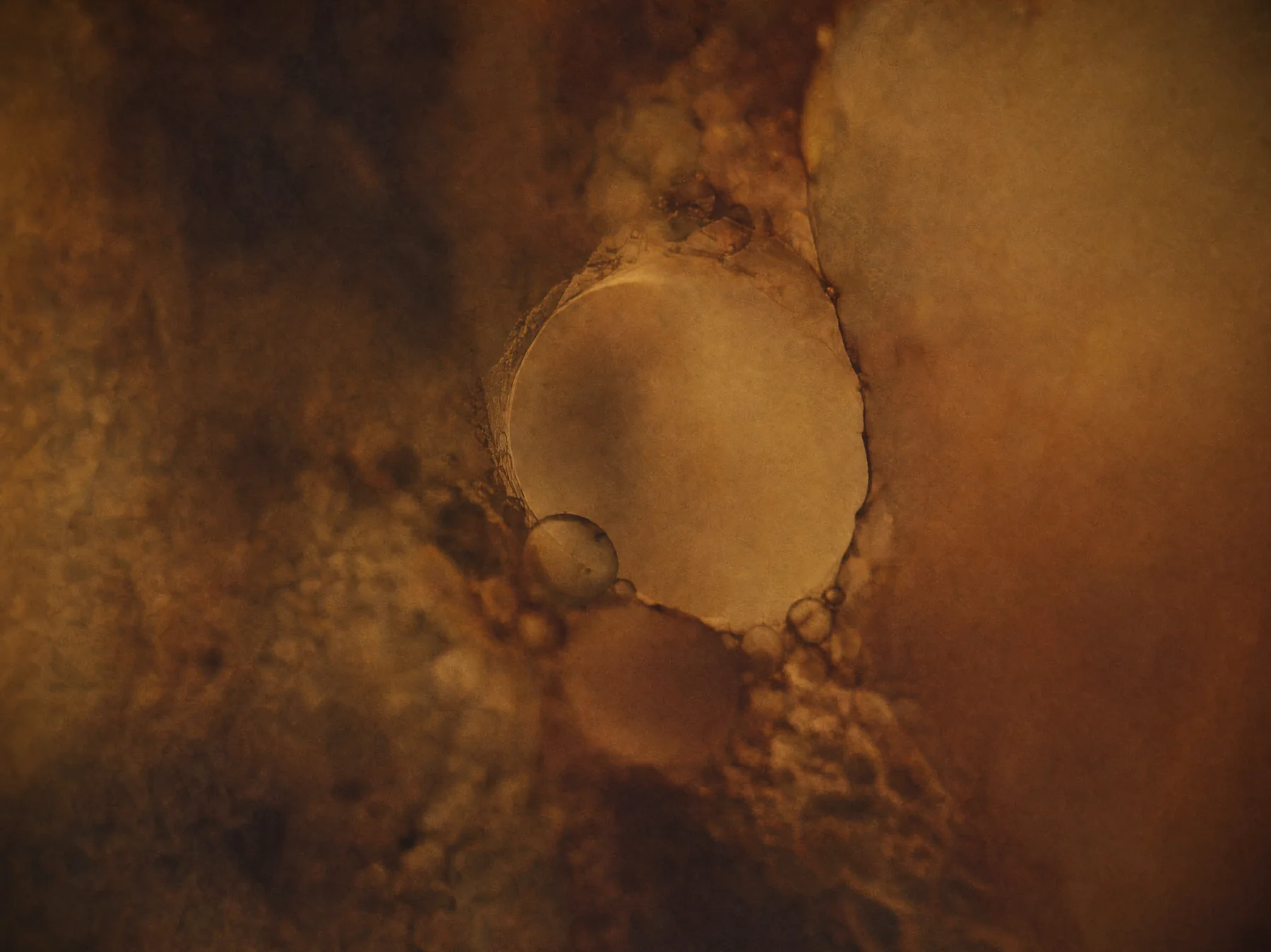 An amber cellular orbit forming around a clear announcement point