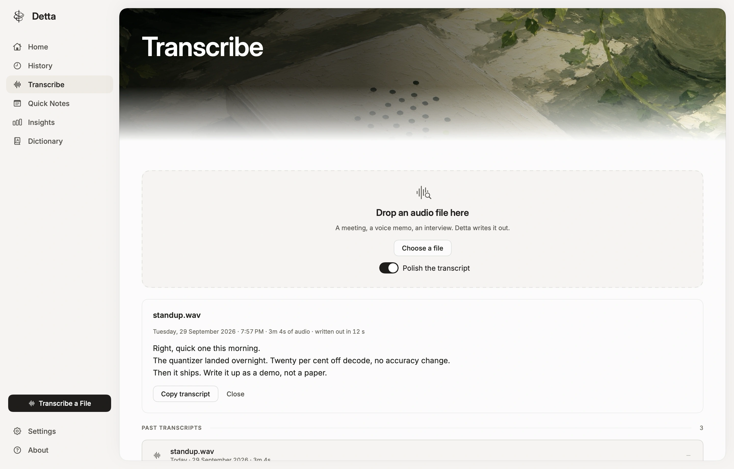 File transcription